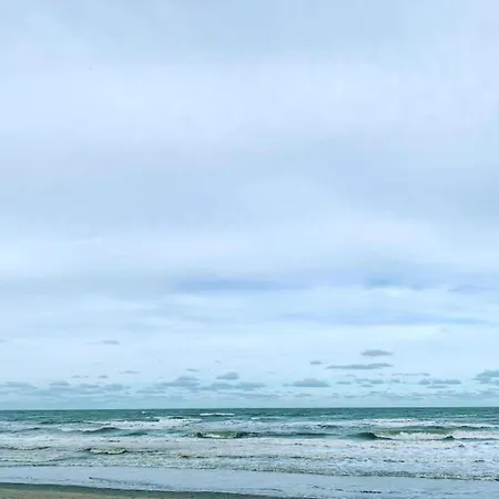 Apartment In With Dune Views, Cleaning Included *